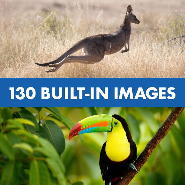 Educational Insights Geosafari Jr Talking Wildlife Camera Robert Irwin | KidzInc Australia 9