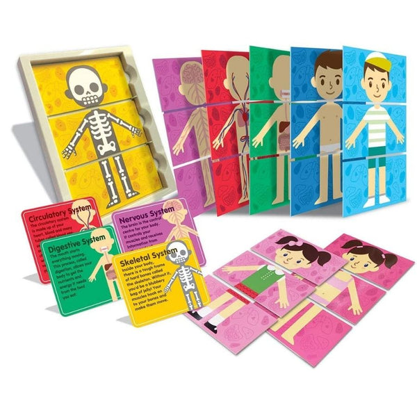 4M Thinking Kits My Body Systems | Human Anatomy Toys | KidzInc  2
