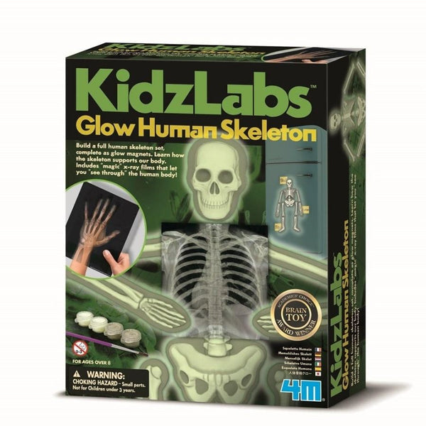 4M KidzLabs Human Skeleton Science Kit | KidzInc Australia Educational Toys