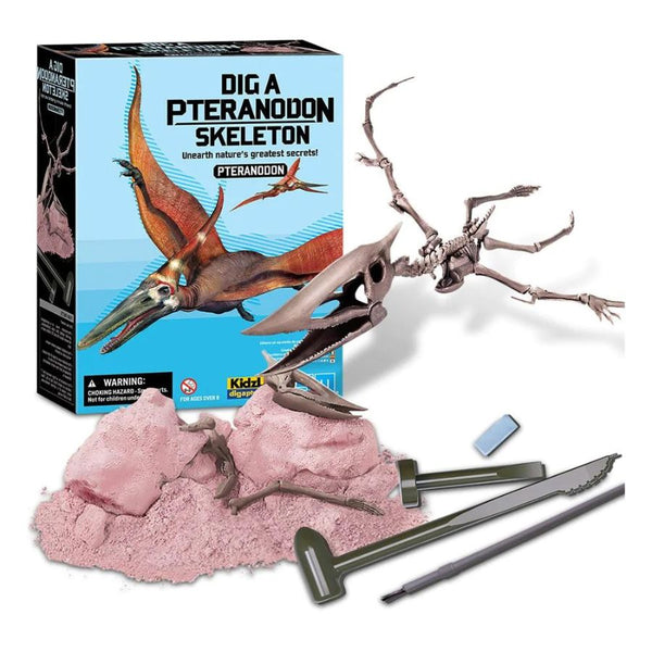 4M KidzLabs Dig A Pteranodon Skeleton Dinosaur | KidzInc Australia 2