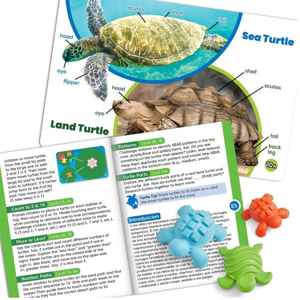 hand2mind Tactile Turtles Math Activity Set | KidzInc Australia 2