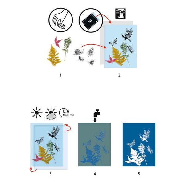 Djeco Cyanotype Starter Kit – Create Magical Blue Sun Prints | KidzInc Australia 3