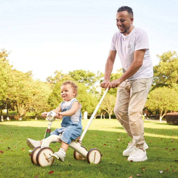 Hape Step-by-Step Tricycle | 4-in-1 Trike | 18 Months+ | KidzInc Australia 2
