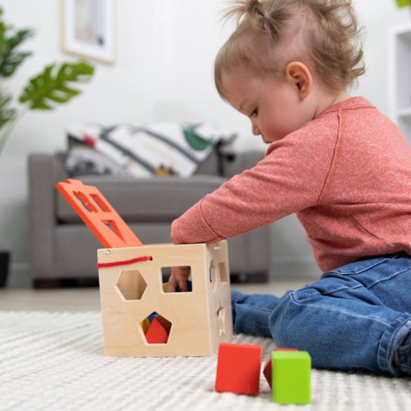 Fat Brain Toys Take-Along Shape Sorter Wooden Toys | KidzInc Australia 3