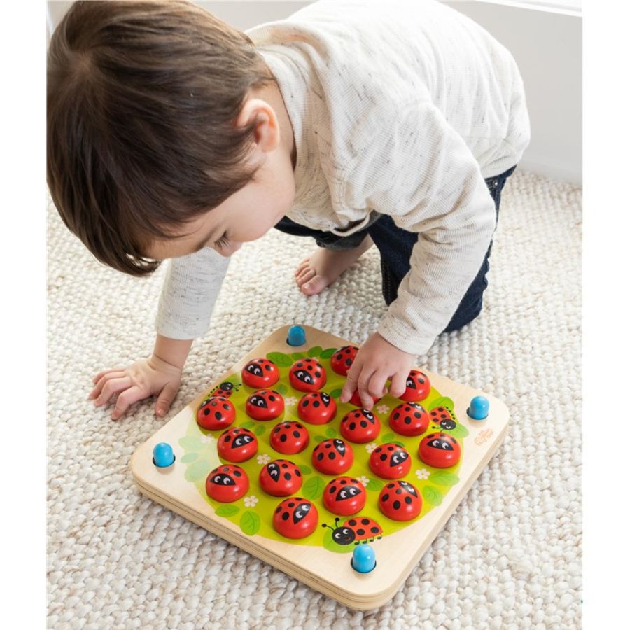 Fat Brain Toys Ladybug Garden Memory Game KidzInc Australia