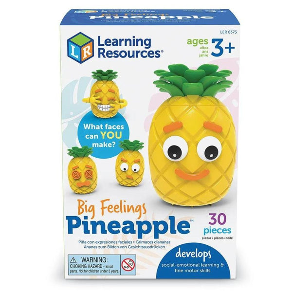 Learning Resources Big Feelings Pineapple | KidzInc Australia 8