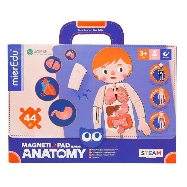 mierEdu Magnetic Pad – Human Anatomy | Learn About the Body | KidzInc Australia