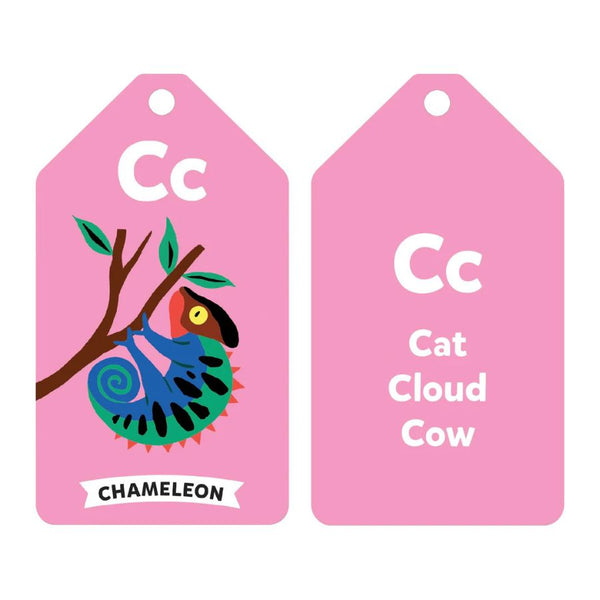  Mudpuppy Wildlife ABC Flash Cards – Learn the Alphabet with Animals | KidzInc Australia 2