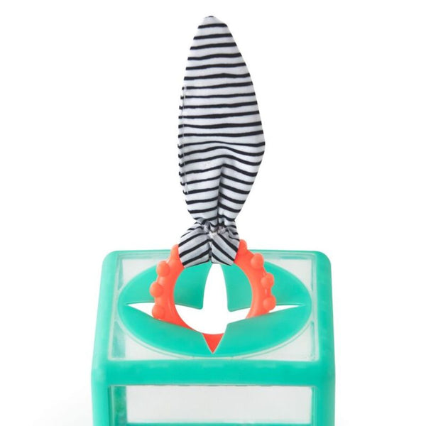 Sassy Baby Rainbow Ring Drop | Stacking & Sensory Development Toy | KidzInc Australia 4