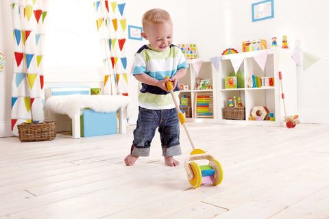 Hape - Rainbow Push Pal | KidzInc Australia | Online Educational Toy Store