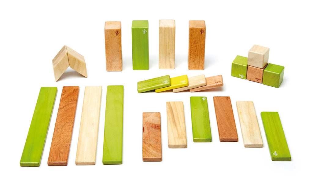 Tegu Magnetic Wooden Building Block Set, 24 Piece (Jungle) | KidzInc ...