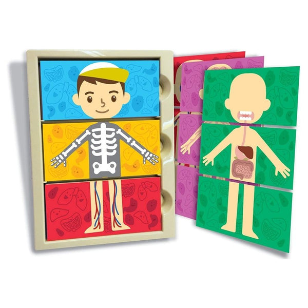 4M Thinking Kits My Body Systems | Human Anatomy Toys | KidzInc  3