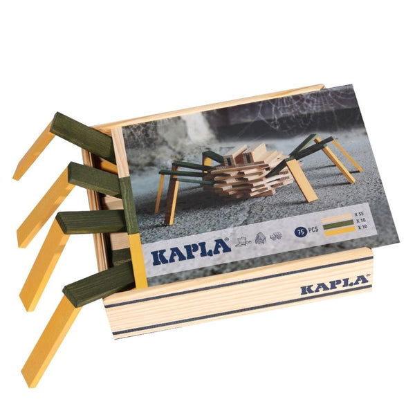 Kapla - Spider Case of Planks