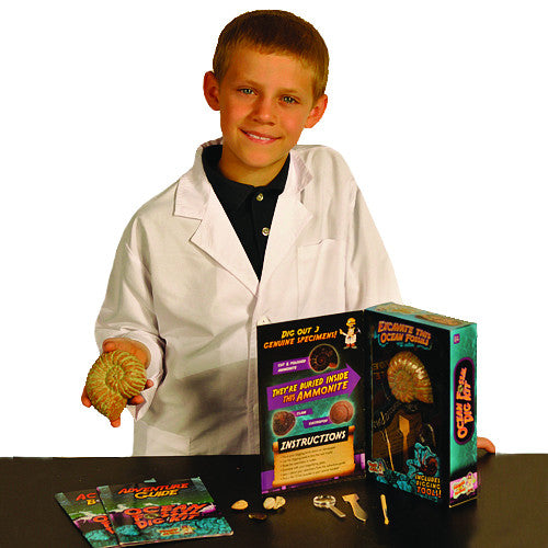 Discover with Dr Cool - Ocean Fossil Dig Kit | KidzInc Australia | Online Educational Toy Store