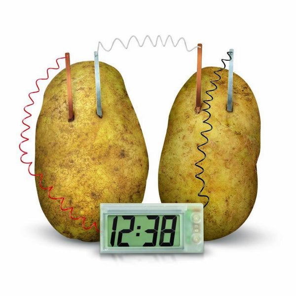 4M Green Science Potato Clock | STEM Toys | KidzInc Australia | Educational Toys Online 2