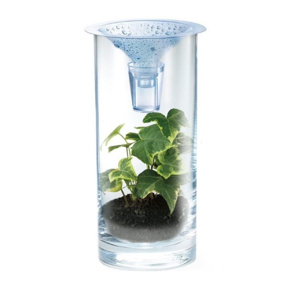 4M Green Science Clean Water Science Kit | KidzInc Australia