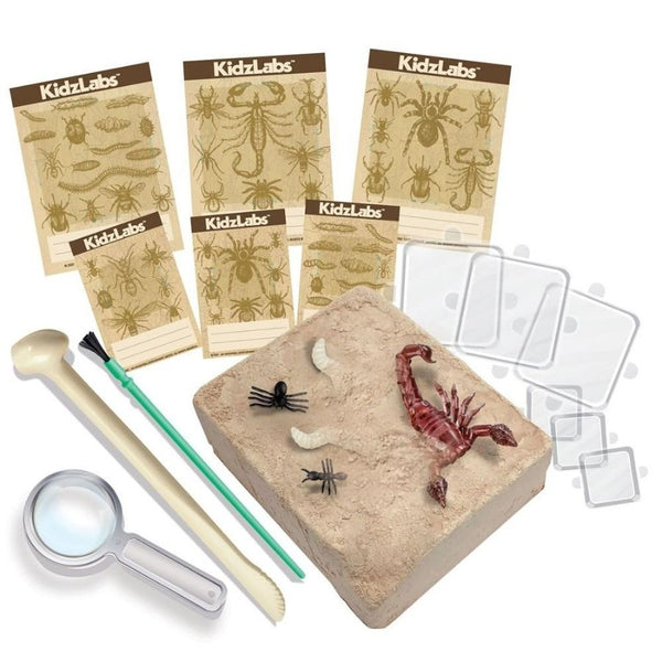 4M KidzLabs Creepy Crawly Digging Kit | Science Kit |KidzInc Australia | Educational Toys Online 3