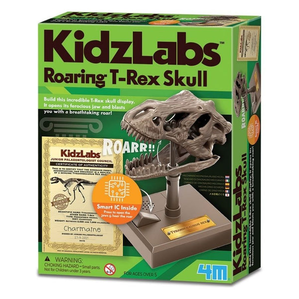 4M Toys KidzLabs Roaring T-Rex Skull | KidzInc Australia