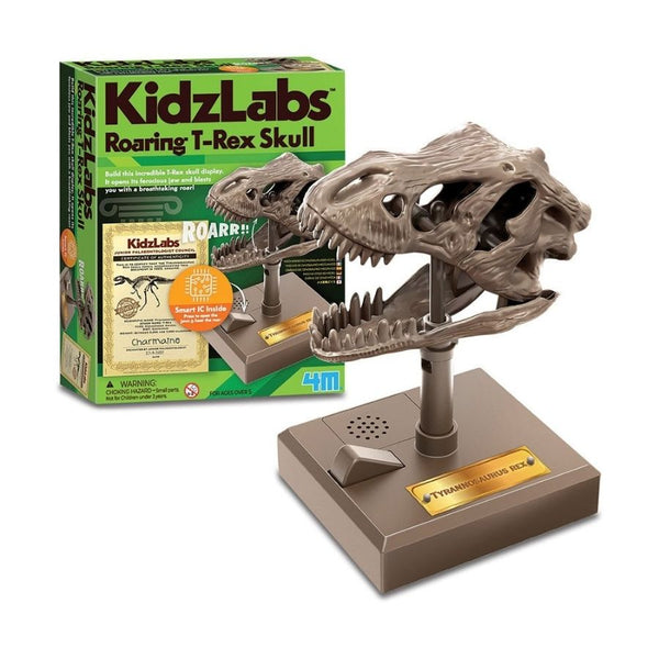 4M Toys KidzLabs Roaring T-Rex Skull | KidzInc Australia 2