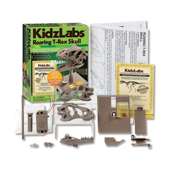 4M Toys KidzLabs Roaring T-Rex Skull | KidzInc Australia 3