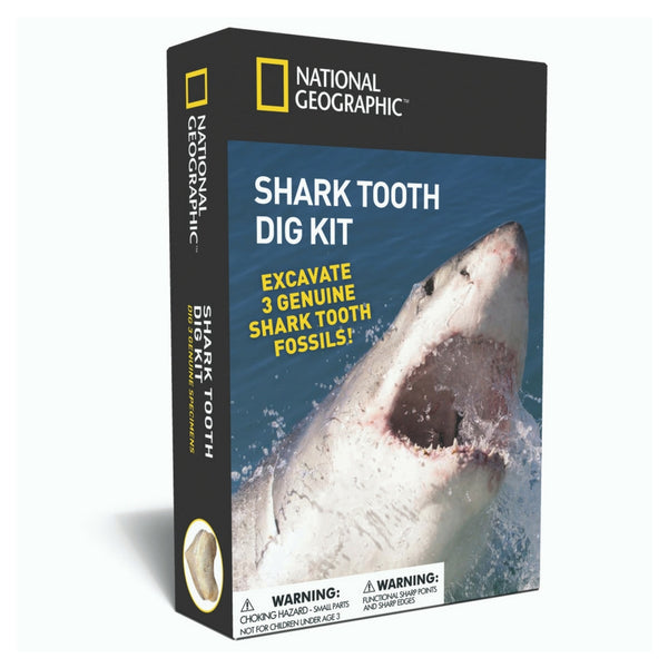 National Geographic - Shark Tooth Dig Kit | KidzInc Australia | Online Educational Toy Store