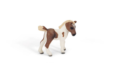 Schleich - Falabella Foal | KidzInc Australia | Online Educational Toy Store