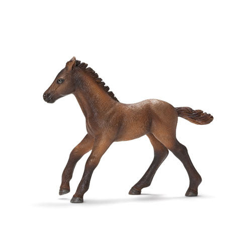Schleich - Camargue Foal | KidzInc Australia | Online Educational Toy Store