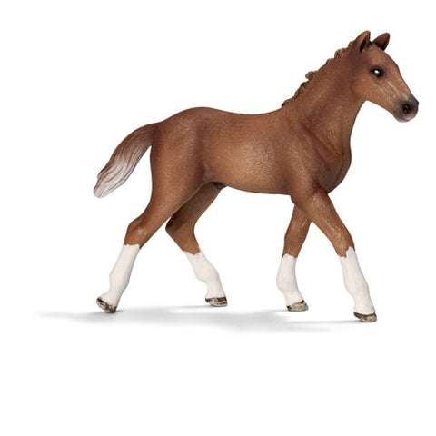 Schleich - Hanoverian Foal | KidzInc Australia | Online Educational Toy Store