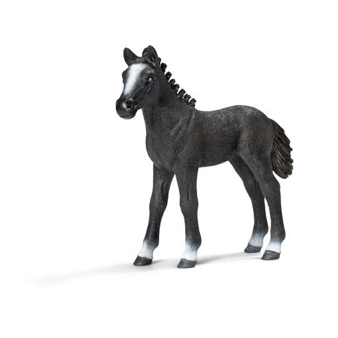 Schleich - Lipizzaner Foal | KidzInc Australia | Online Educational Toy Store