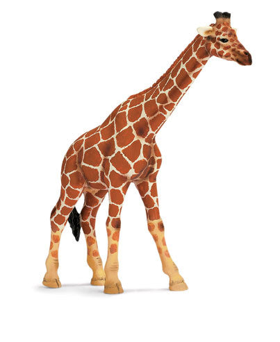 Schleich - Giraffe Female | KidzInc Australia | Online Educational Toy Store