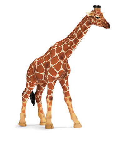 Schleich - Giraffe Female | KidzInc Australia | Online Educational Toy Store