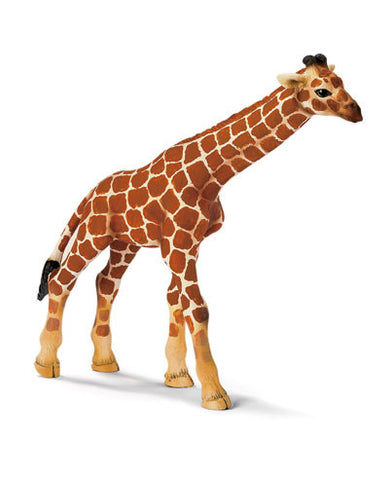 Schleich - Giraffe Calf | KidzInc Australia | Online Educational Toy Store