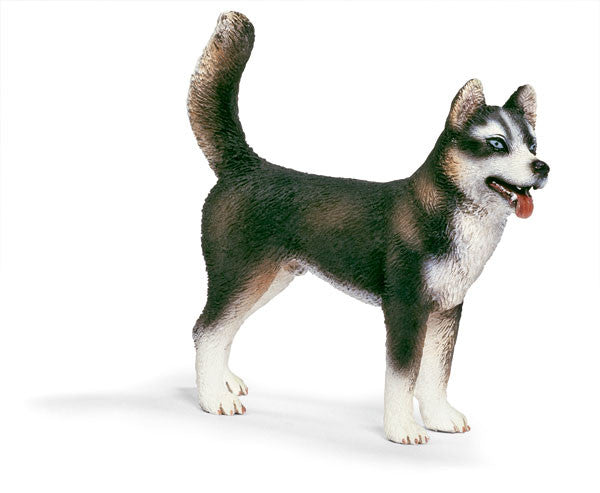 Schleich - Husky Male | KidzInc Australia | Online Educational Toy Store