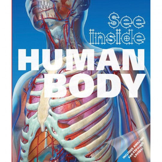 Five Mile Press - See Inside Human Body | KidzInc Australia | Online Educational Toy Store