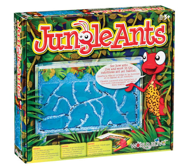 World Alive - Jungle Ants Habitat | KidzInc Australia | Online Educational Toy Store