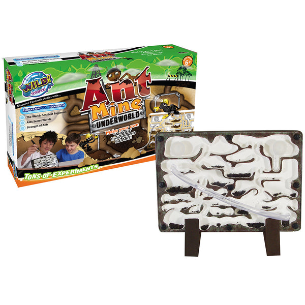 Wild Science - Ant Mine | KidzInc Australia | Online Educational Toy Store